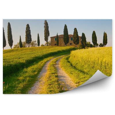 Fototapeta willa Toskania pole alejka drzewa
