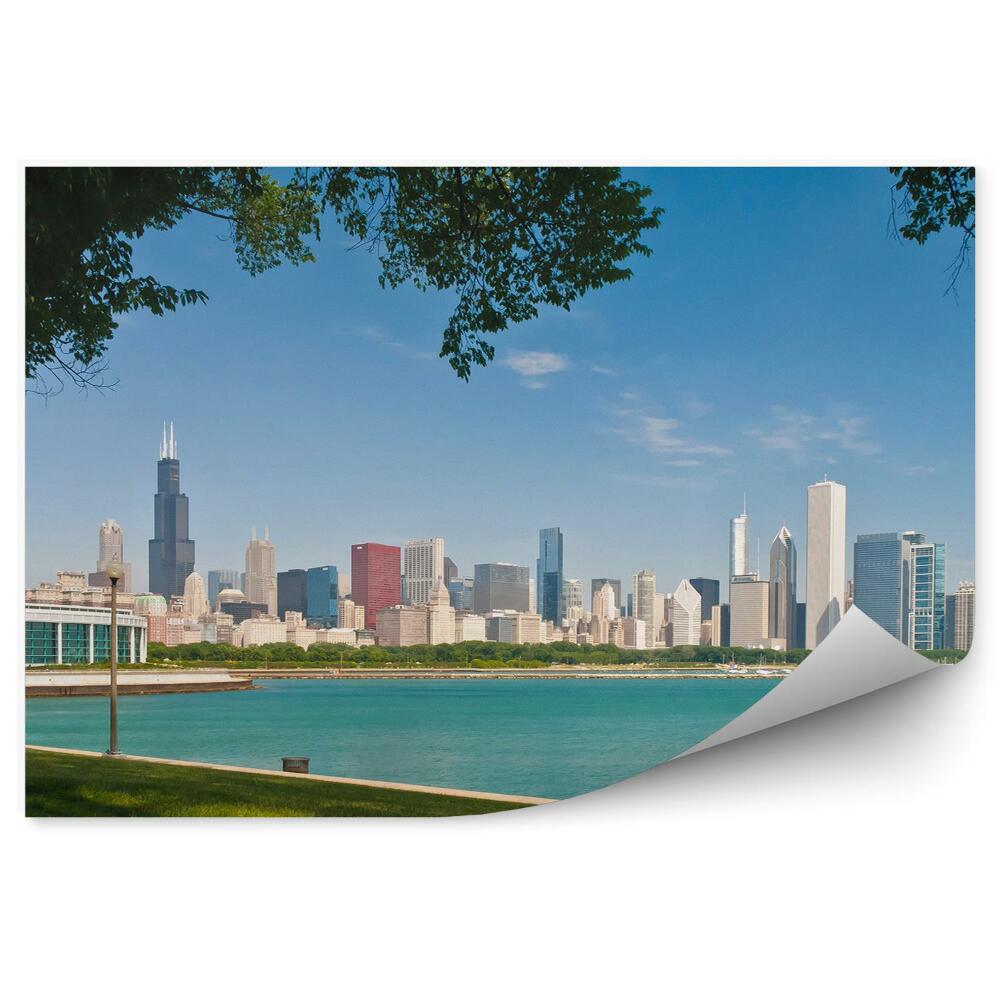 Fototapeta na ścianę panorama Chicago wieżowce drzewo trawa