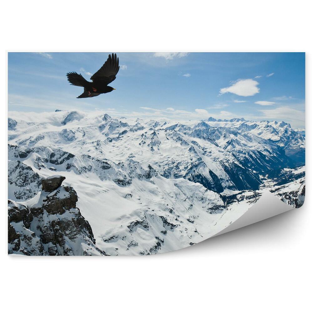 Okleina na ścianę Alpy urneńskie góry zima śnieg ptak niebo chmury