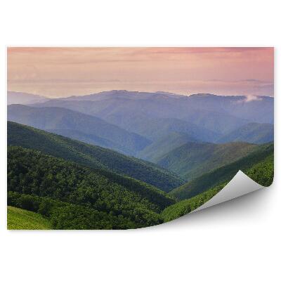 Okleina na ścianę Trawa drzewa zachód słońca wulkan saint kitts