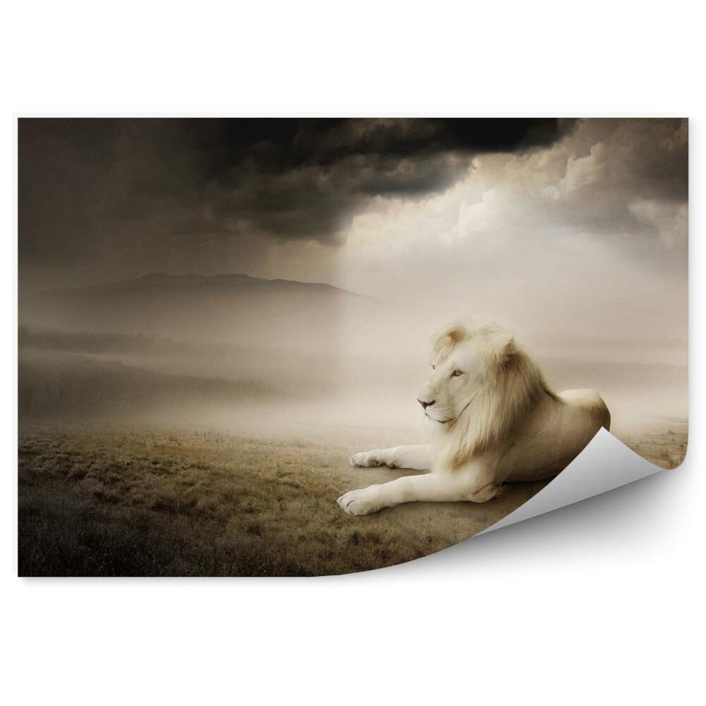 Fototapeta Biały lew o zachodzie słońca