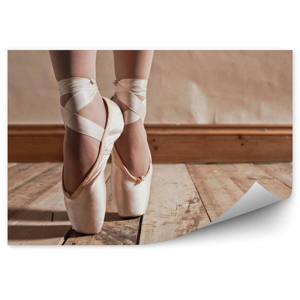 Fotopeta Balet buty na drewnianej podłodze