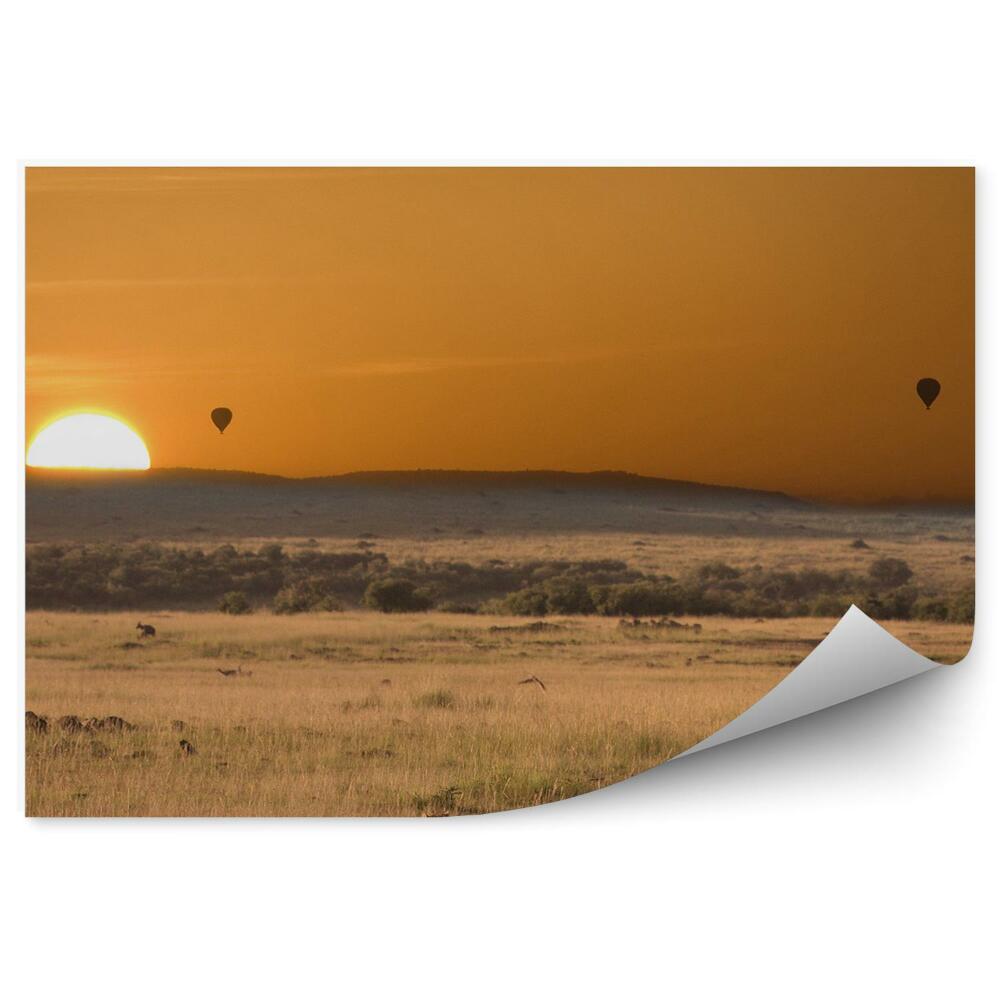 Fototapeta Gepardy afryka balony słońce trawa