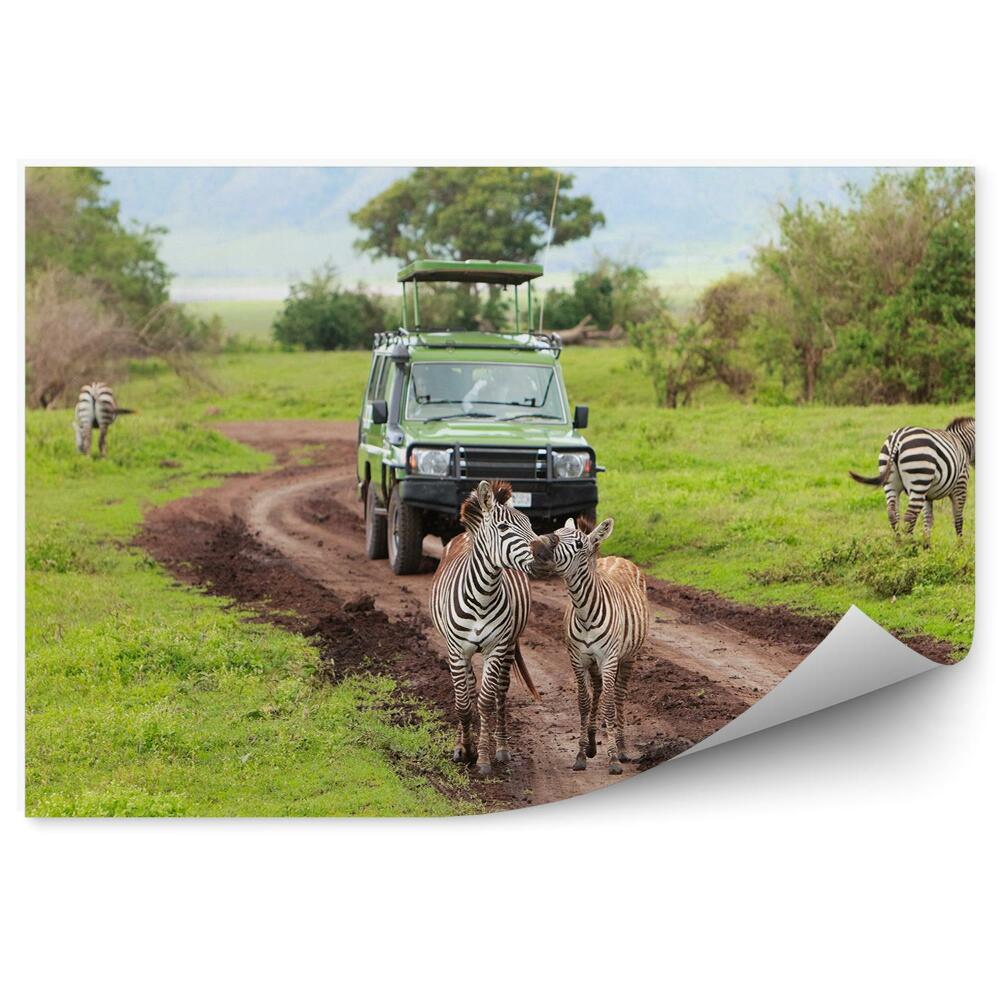 Okleina ścienna Safari zieleń zebry zwierzęta