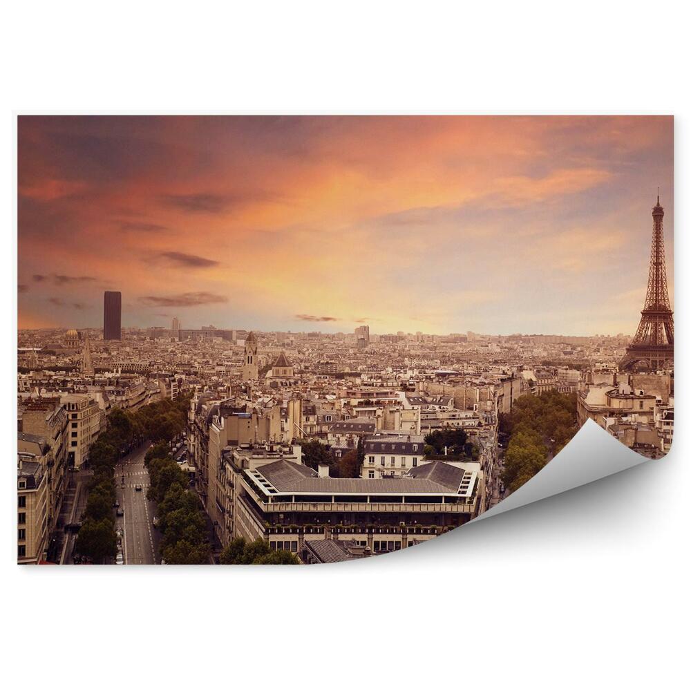 Fototapeta widok z lotu ptaka Paryż niebo chmury ulice samochody drzewa wieża Eiffla