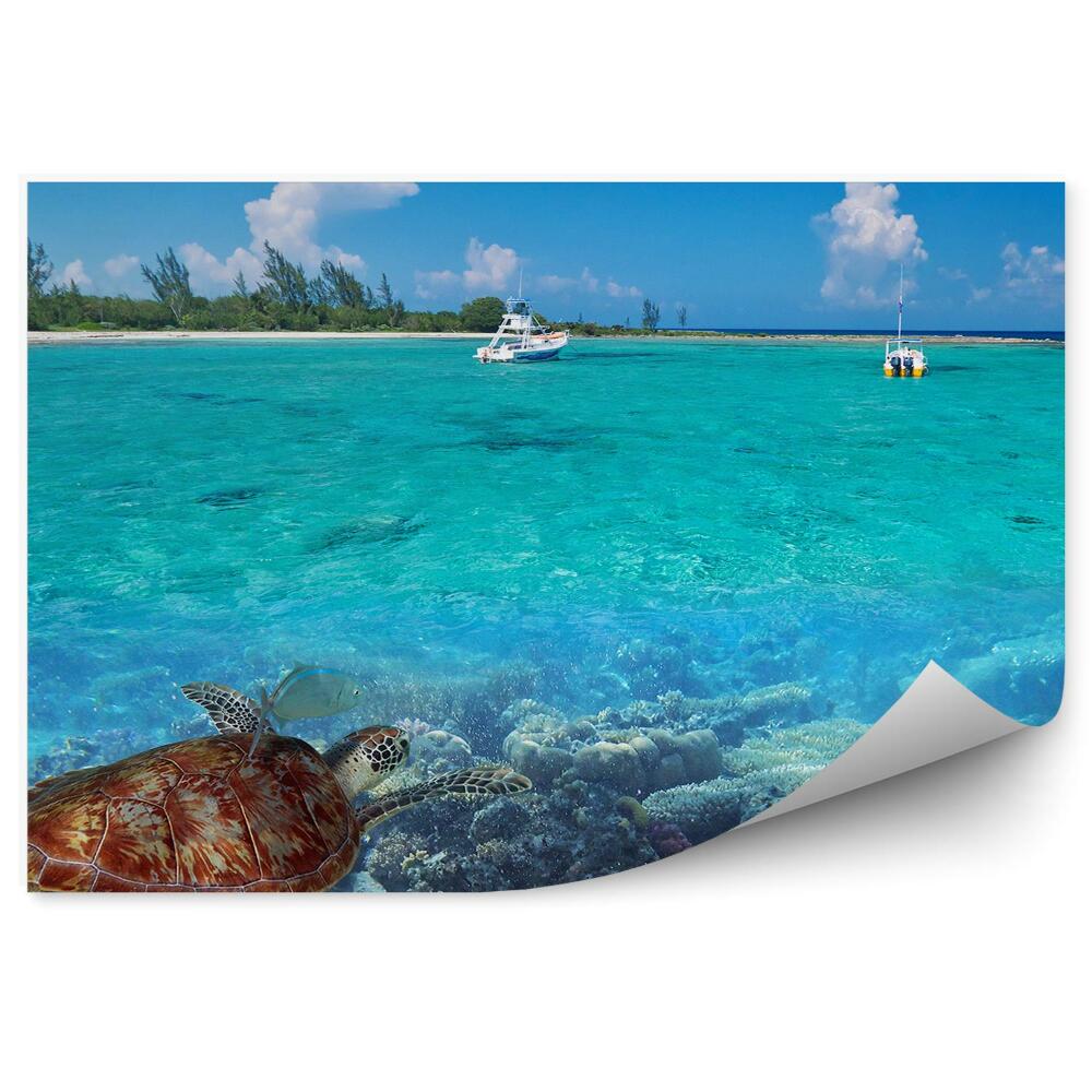 Okleina ścienna Natura morze karaibskie żółw ryby błękitna woda
