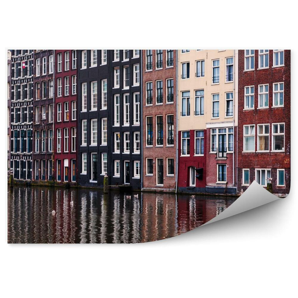 Fototapeta Amsterdam kolorowe budynki