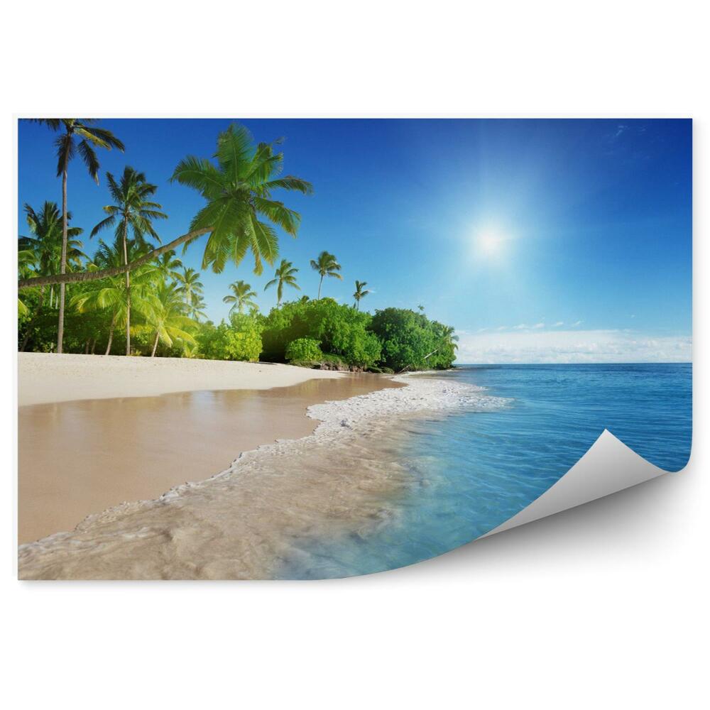 Fototapeta Morze karaibskie i palmy