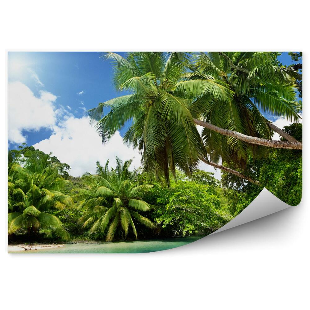 Fototapeta na ścianę ocean palmy drzewa niebo chmury Seszele