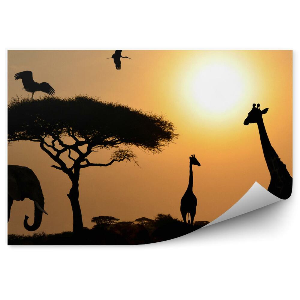 Okleina na ścianę żyrafy słoń ptaki drzewa zachód słońca