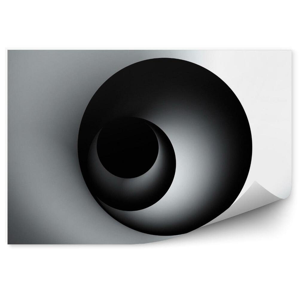 Fototapeta Czarno biała spirala 3d