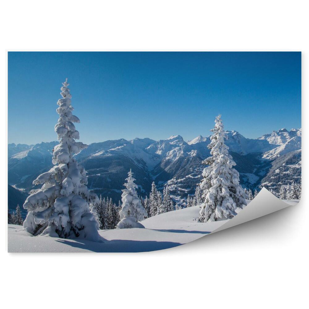 Fototapeta Panorama zima w zaśnieżonych górach