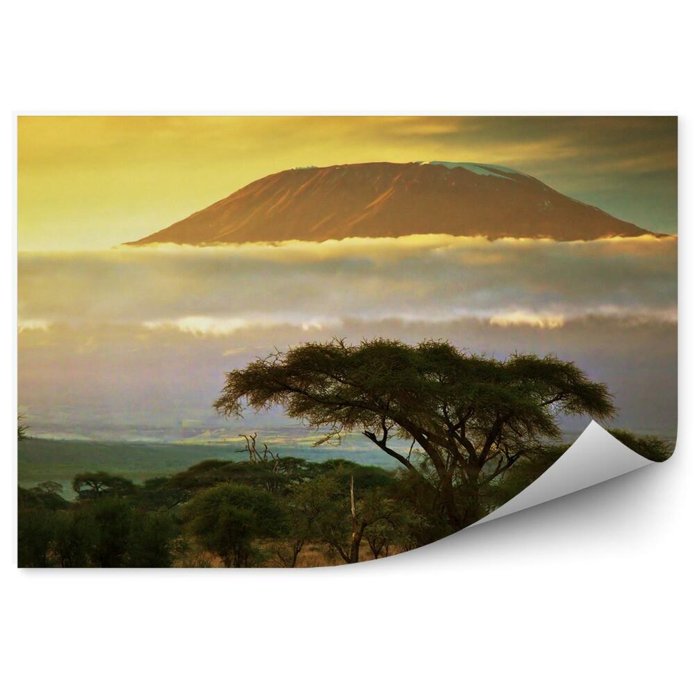 Okleina ścienna Góra kilimandżaro natura chmury kenia