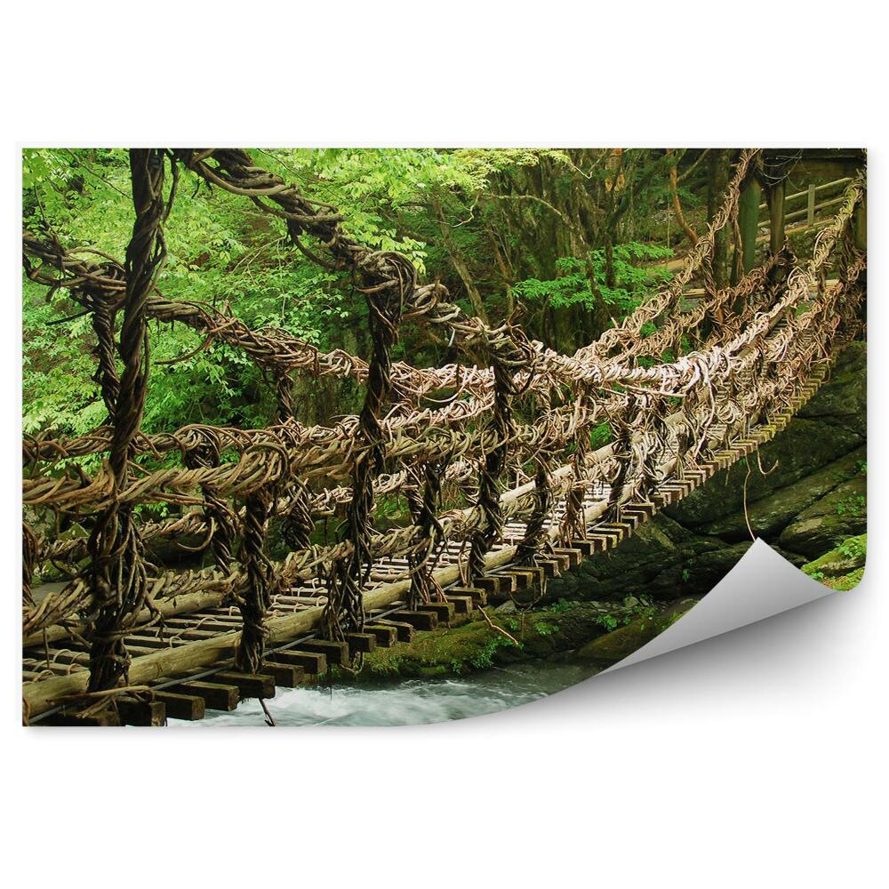 Okleina na ścianę Drewniany most nad rzeką las