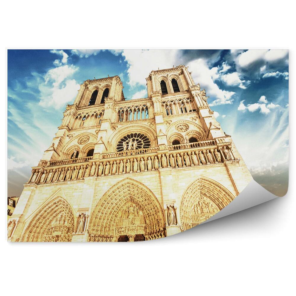 Fototapeta katedra Notre Dame Paryż drzewa niebo chmury