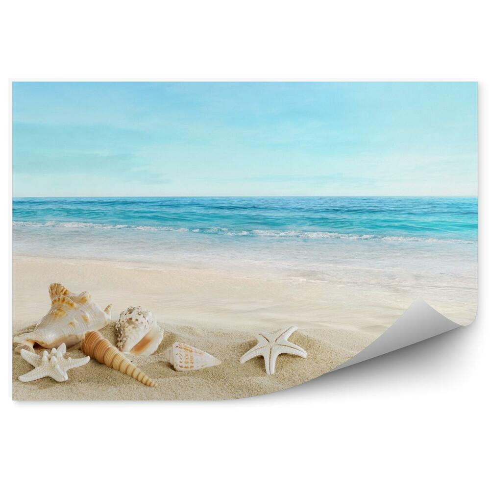 Fototapeta Krajobraz z muszli na tropikalnej plaży
