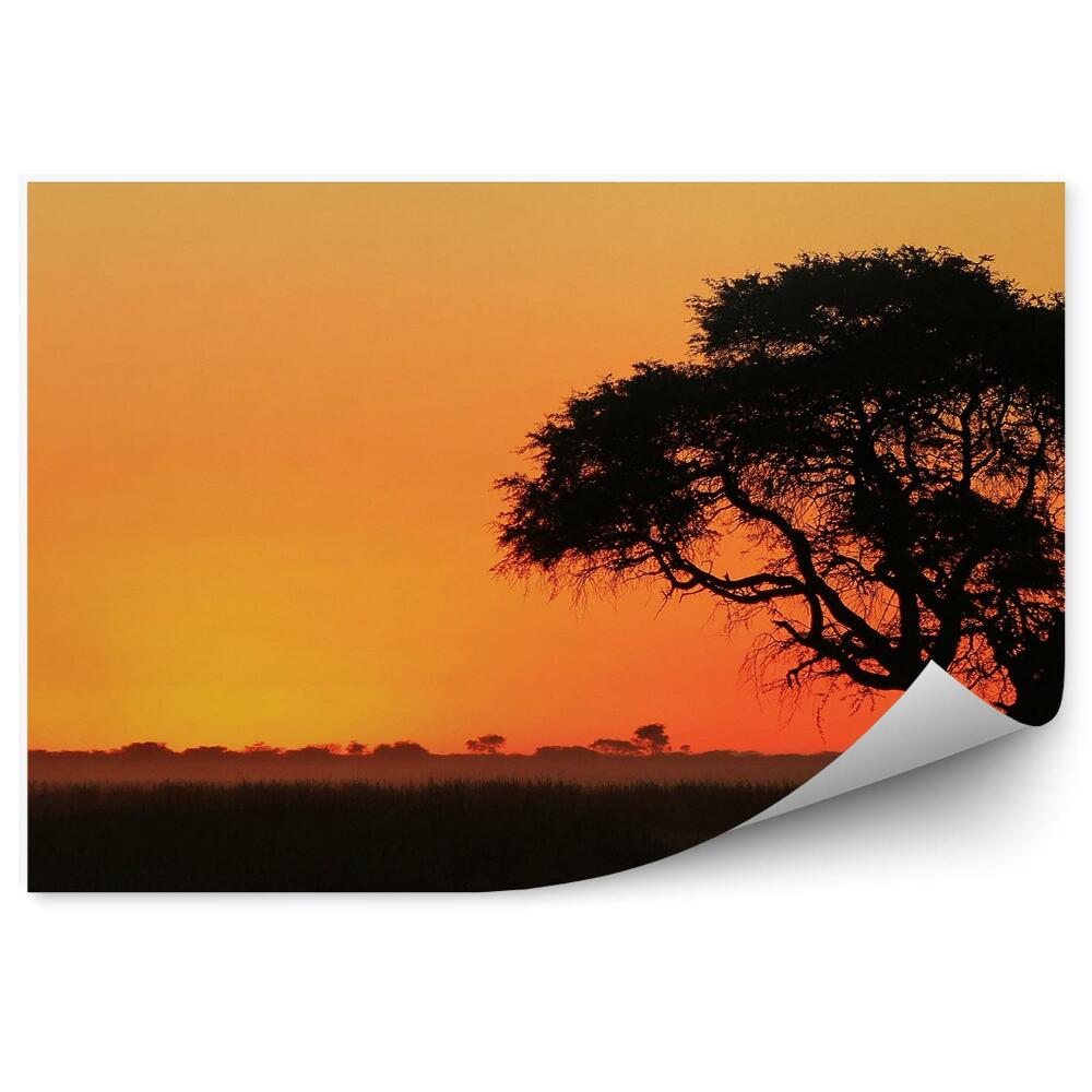 Fototapeta Zachód słońca afrykańskie równiny cienie