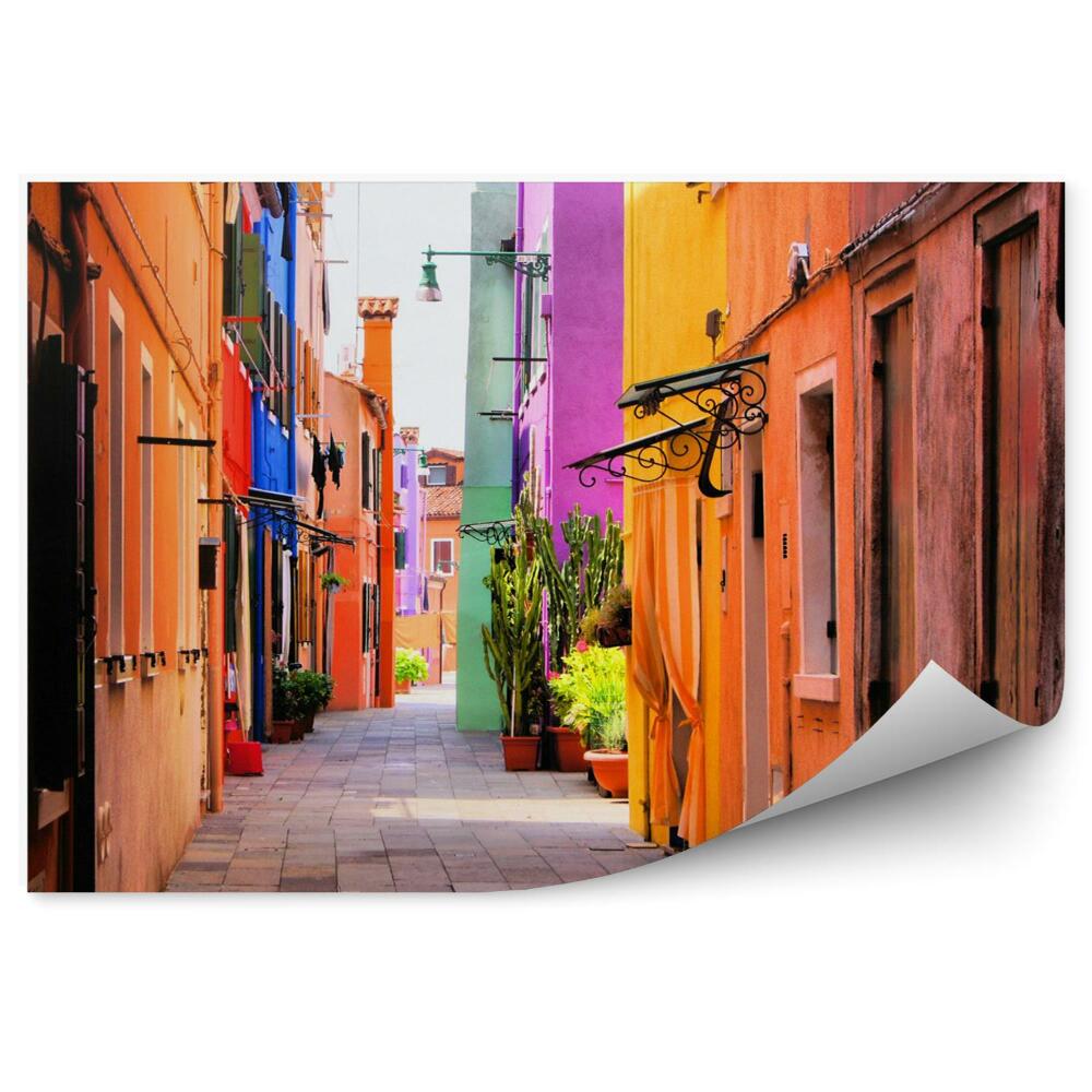 Fototapeta Kolorowa ulica we włoszech