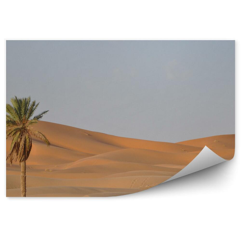 Okleina ścienna Pustynia piasek palmy niebo