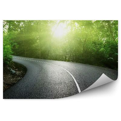 Fototapeta na ścianę pusta droga dżungla drzewa rośliny Seszele