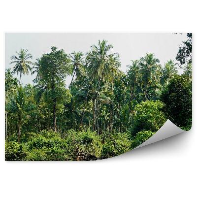 Fototapeta na ścianę Palmy w dżungli jezioro