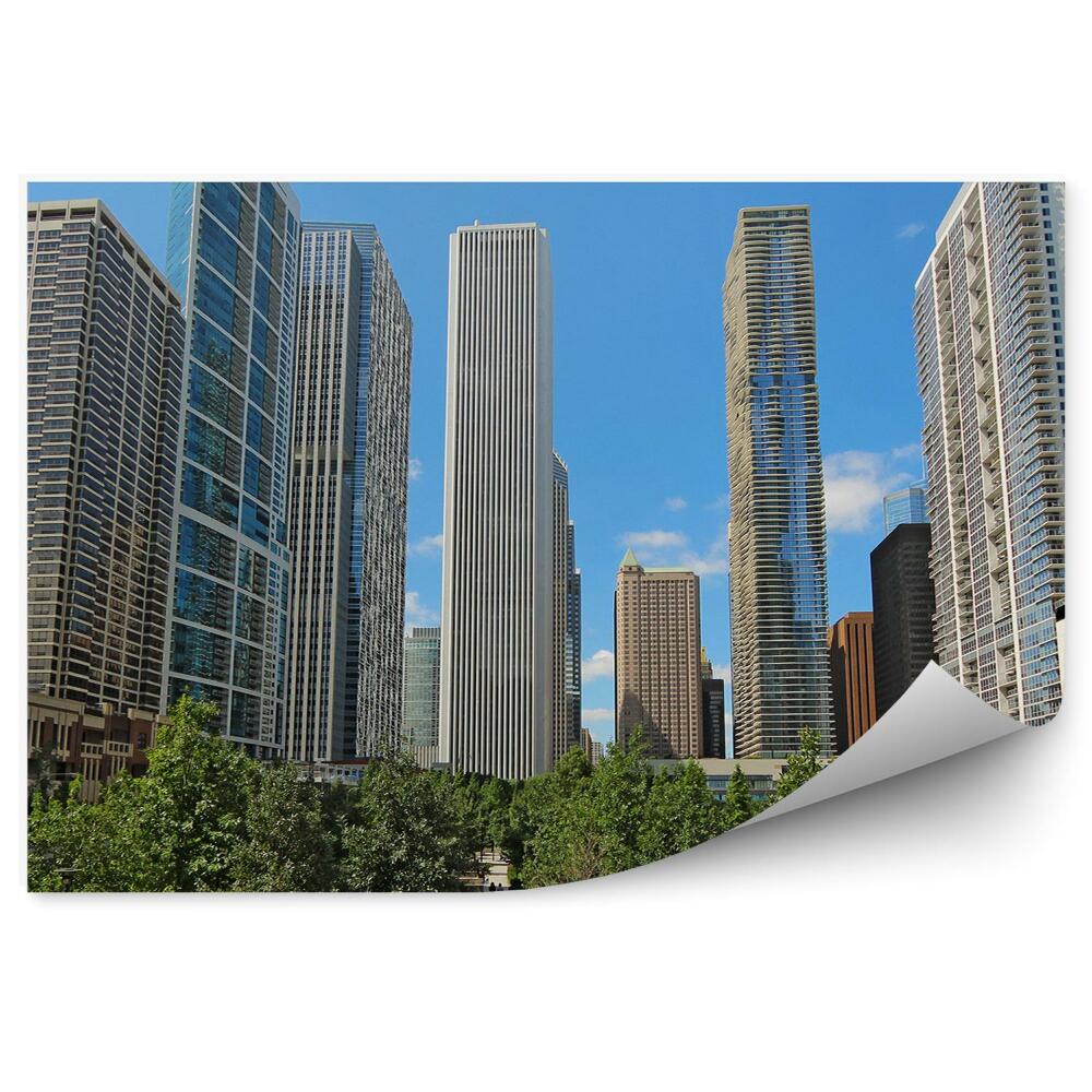 Fototapeta na ścianę wieżowce centrum Chicago drzewa fontanna niebo chmury