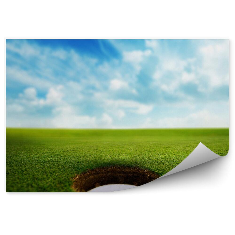 Fototapeta samoprzylepna Piłka golfowa w dołu trawa niebo chmury