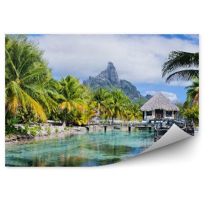 Fototapeta Bora bora palmy panorama