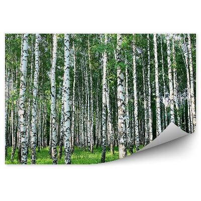 Okleina ścienna Las brzozowy trawa