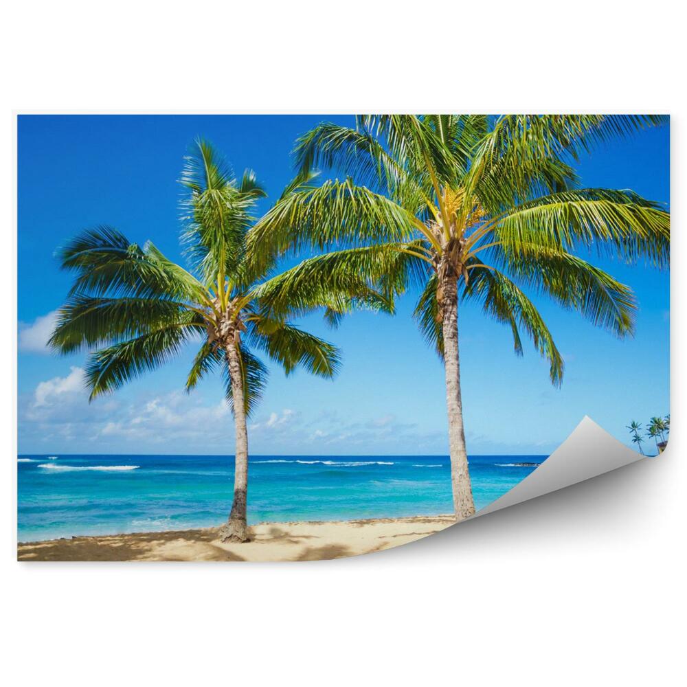 Fototapeta Palmy na piaszczystej plaży na hawajach