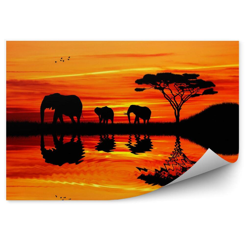 Fototapeta Sylwetka słoni o zachodzie słońca