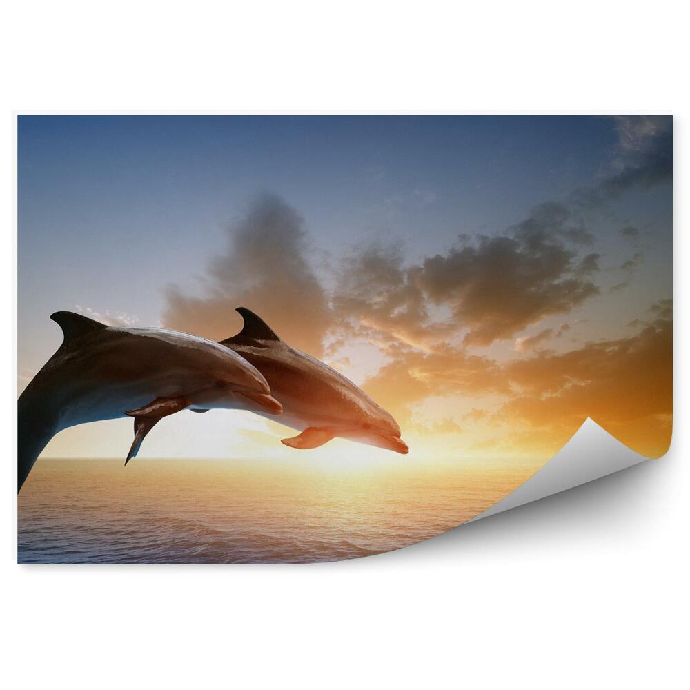 Okleina ścienna Skoki delfinów na tle zachodu słońca