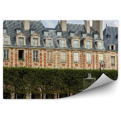 Fototapeta plac Ludwika XIII fontanna drzewa niebo Paryż Francja chmury