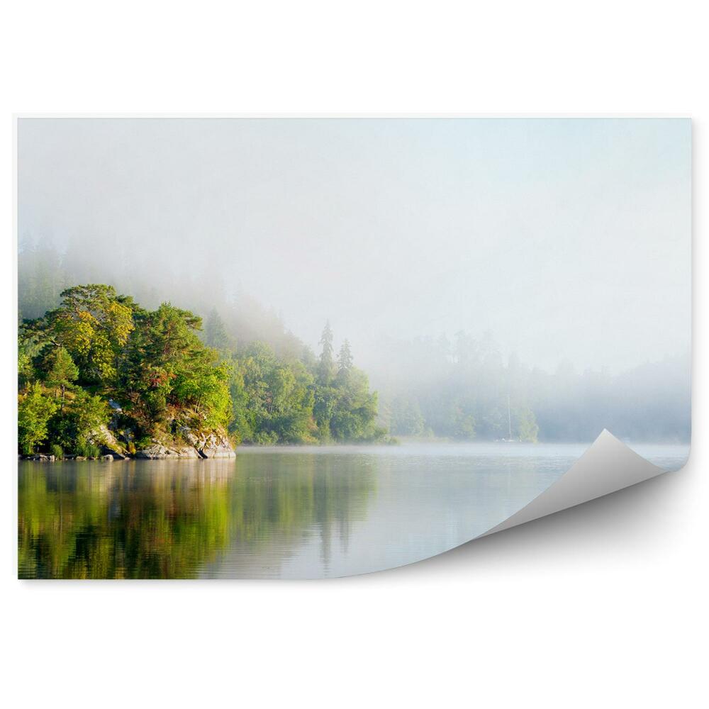 Okleina ścienna Skały drzewa iglaste jezioro mgła