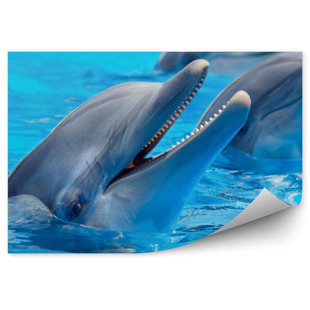 Okleina ścienna Trzy delfiny w wodzie