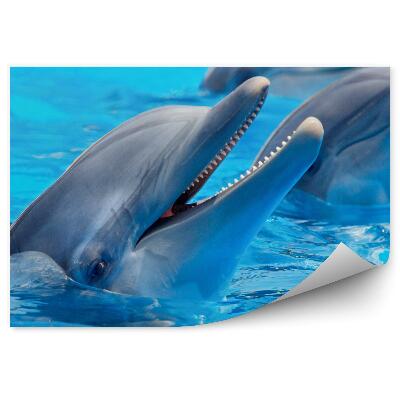 Okleina ścienna Trzy delfiny w wodzie