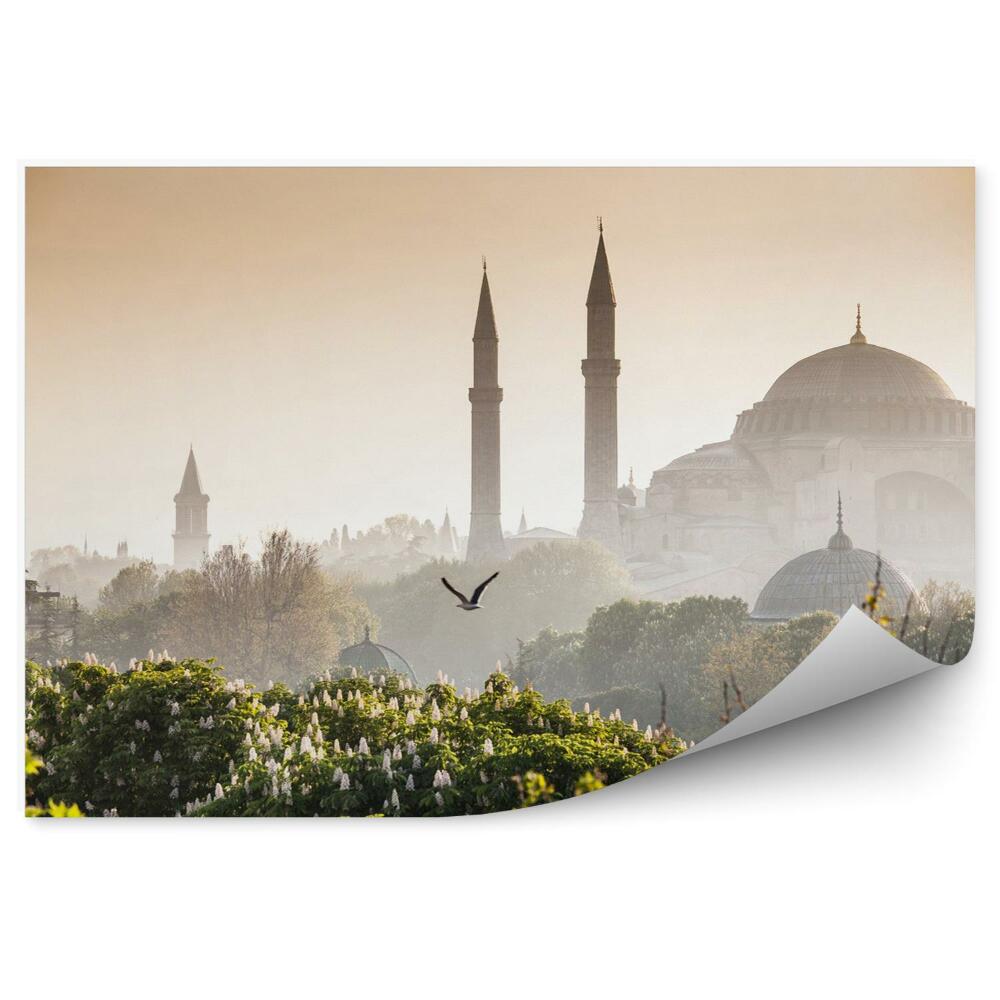 Fototapeta Sultanahmet camii / blue mosque istanbul turkey