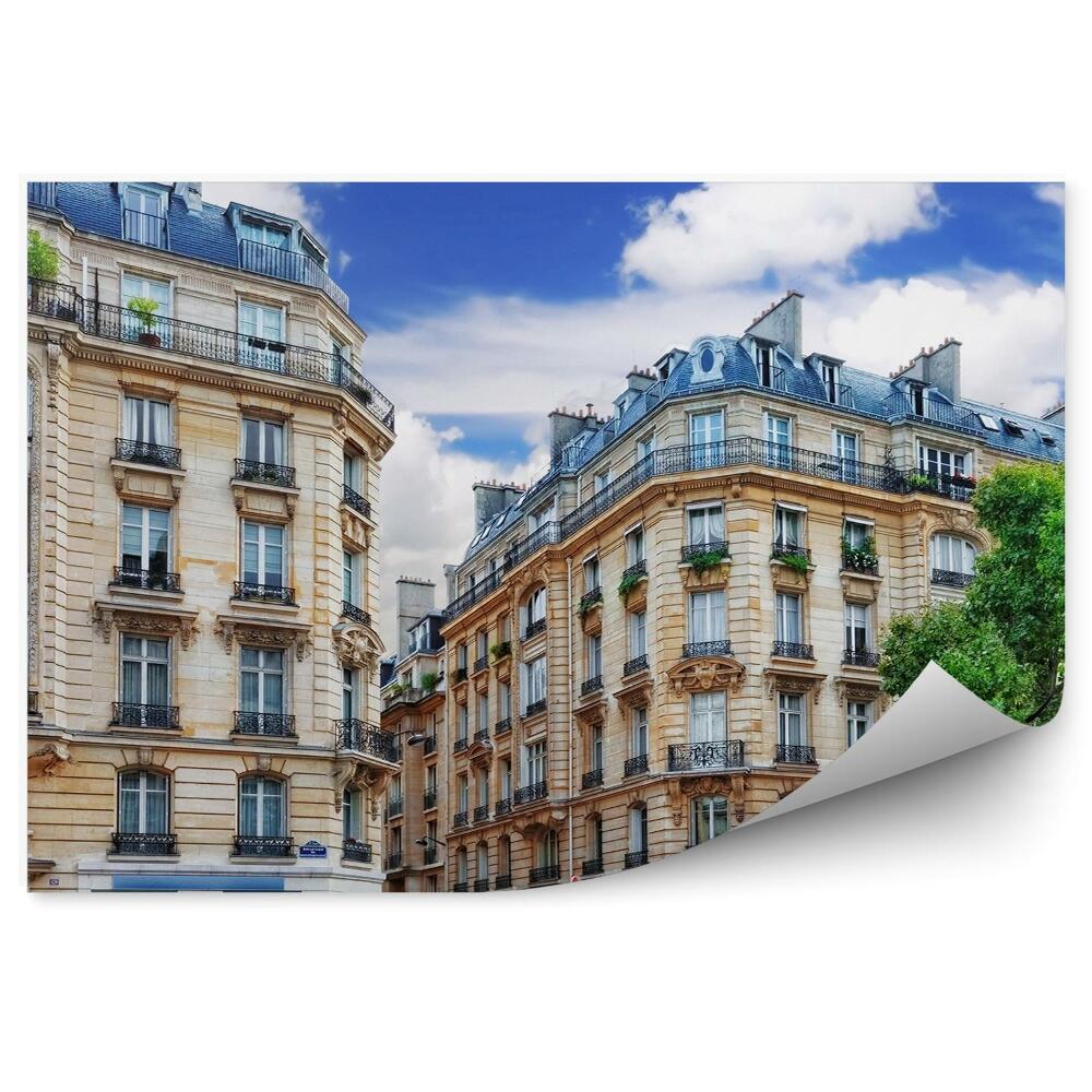 Fototapeta architektura miasta drzewa ulica niebo chmury Francja Paryż