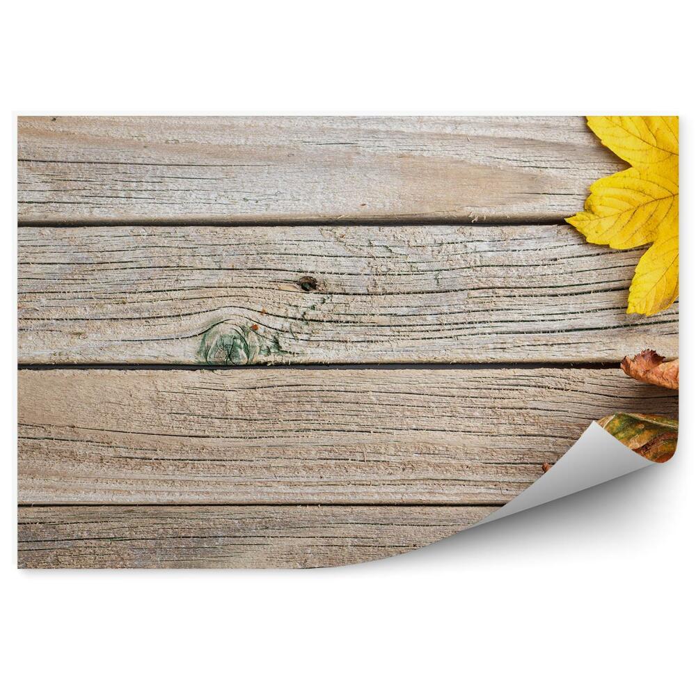 Fototapeta samoprzylepna Jesienne liście na drewnianym tle