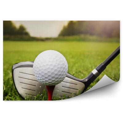 Fototapeta samoprzylepna Kij piłka golfowa trawa rośliny
