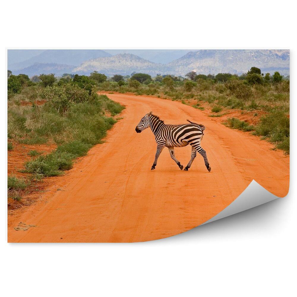 Okleina ścienna Kenia zebra szosa piasek trawa góry