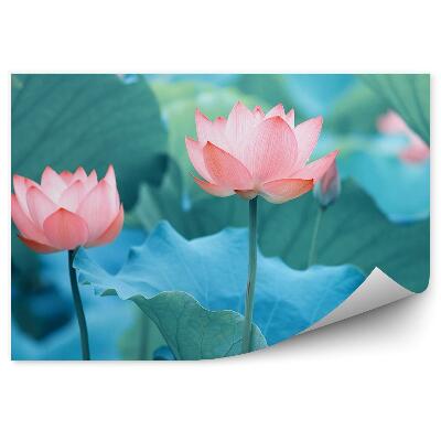 Okleina ścienna Lilie wodne i niebieskie liście