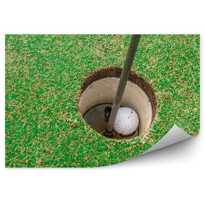 Fototapeta samoprzylepna Dołek piłka golfowa trawa kijek