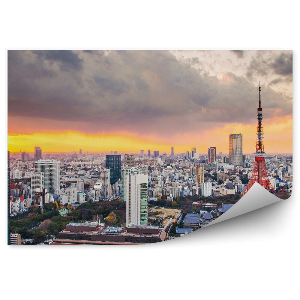 Okleina na ścianę widok z lotu ptaka niebo chmury Tokio Japonia