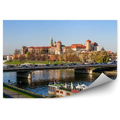 Fototapeta Kraków panorama most samochody statek katedra wawel rzeka wisła drzewa