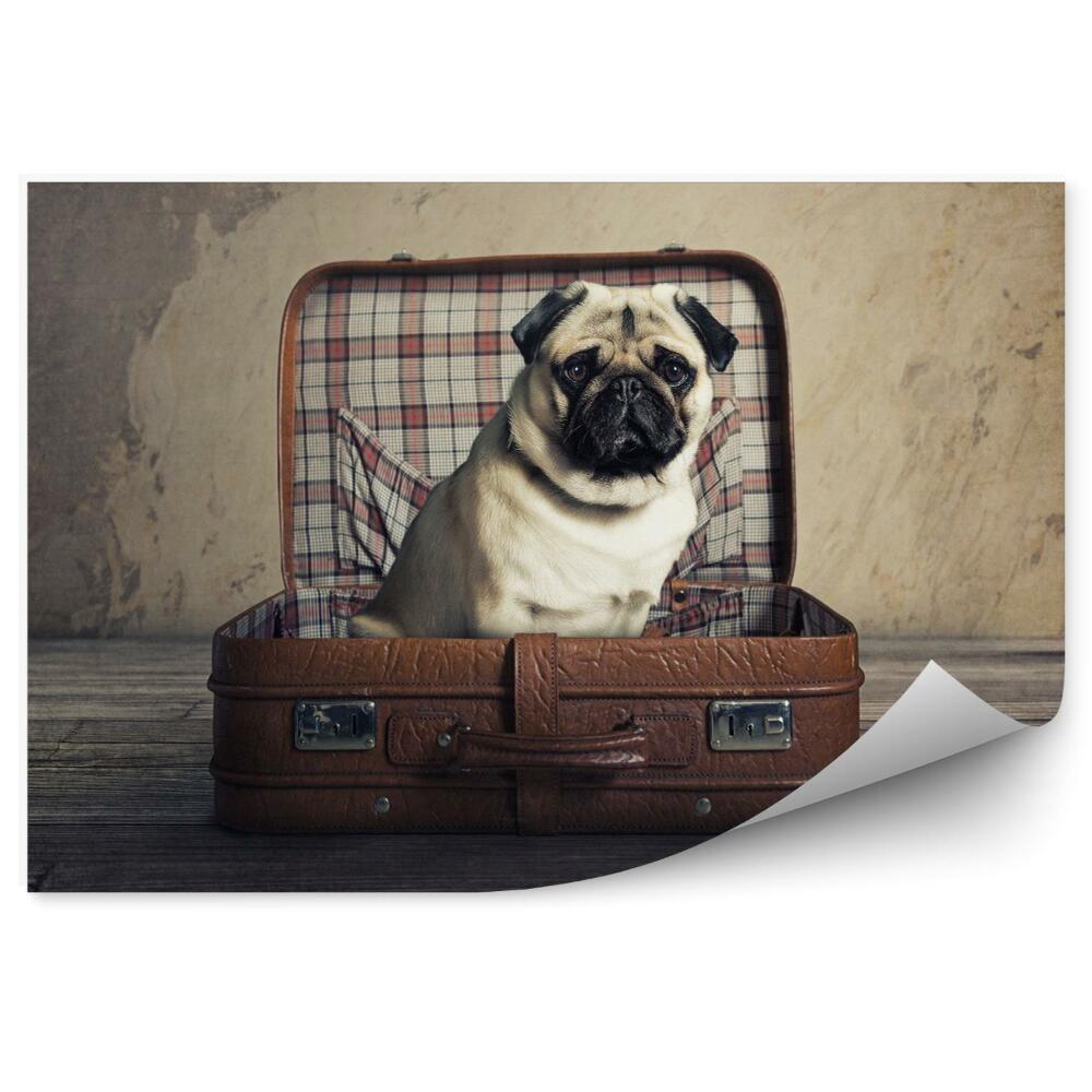 Fototapeta Pies w walizce