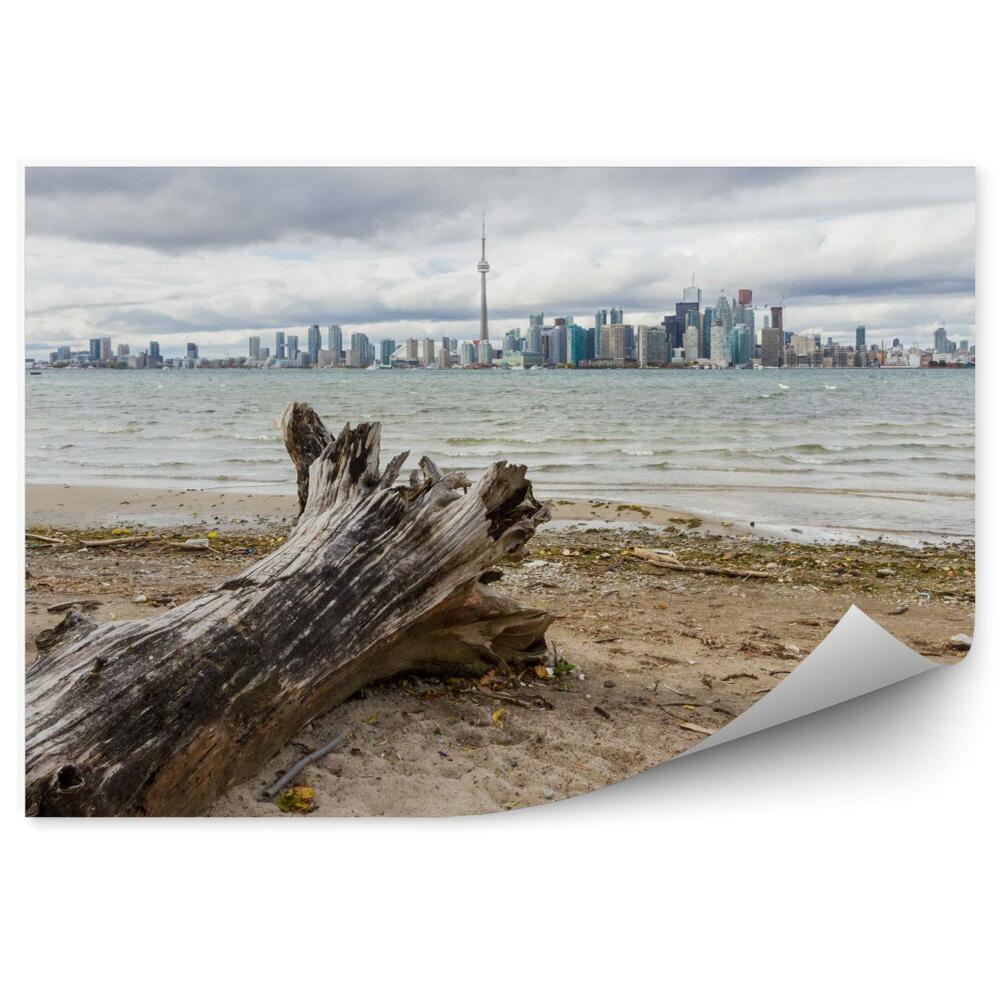 Fototapeta Toronto city kanada