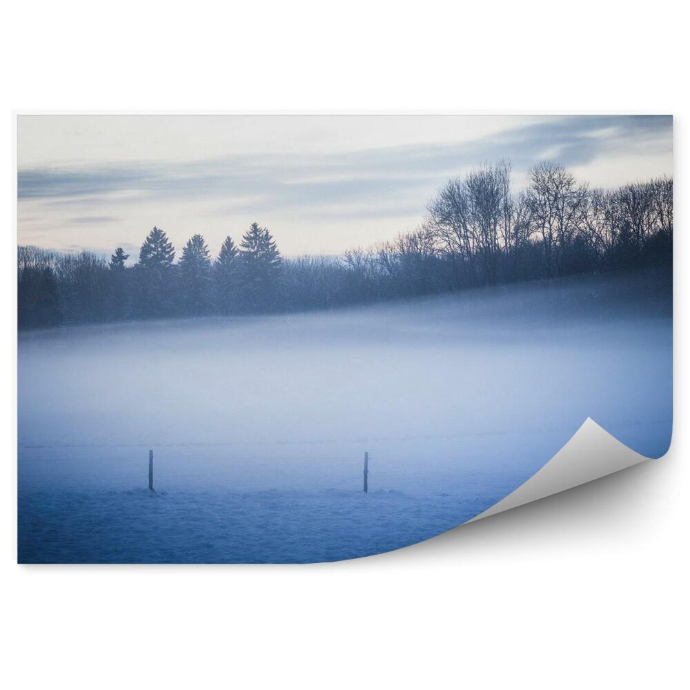 Fototapeta Piękny widok zimowy we mgle