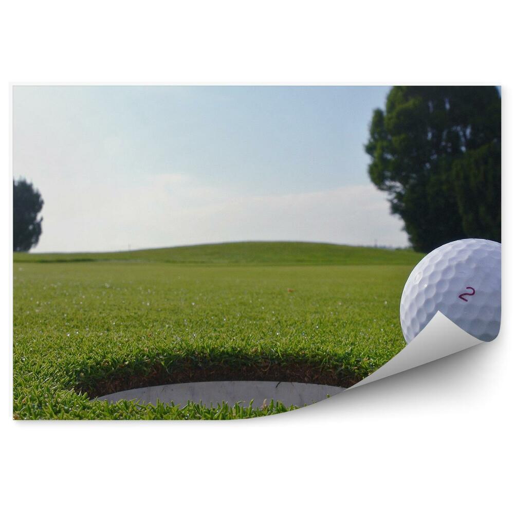 Fototapeta samoprzylepna Dołek piłka golfowa drzewa trawa woda niebo chmury