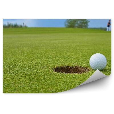 Fototapeta samoprzylepna Dołek piłka golfowa niebo chmury trawa drzewa